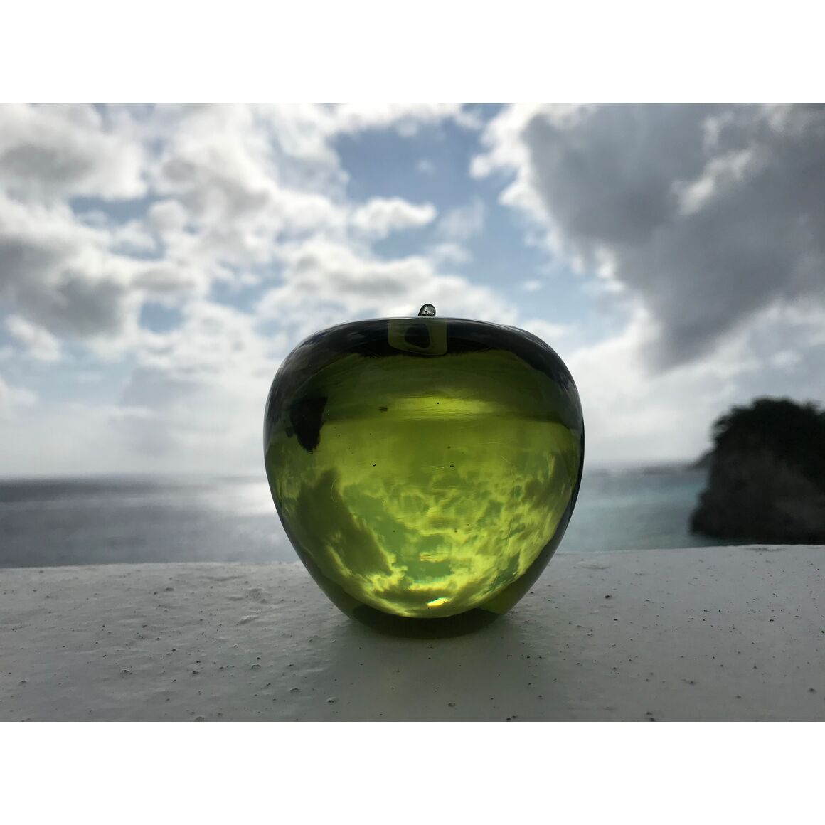 すべての出品者 :: 新島ガラスアートセンター