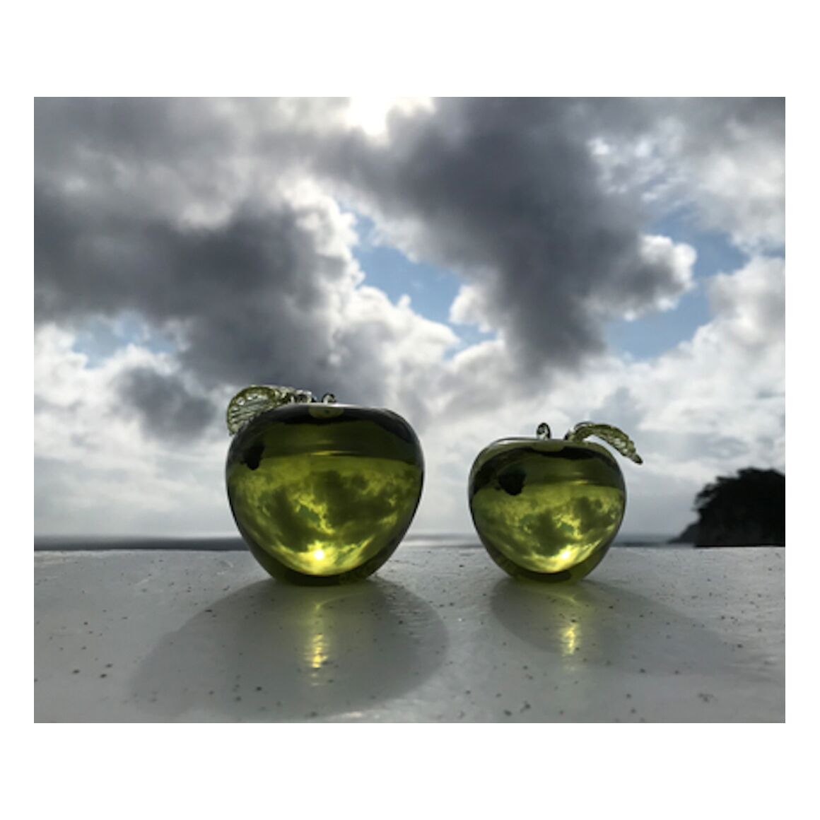 すべての出品者 :: 新島ガラスアートセンター