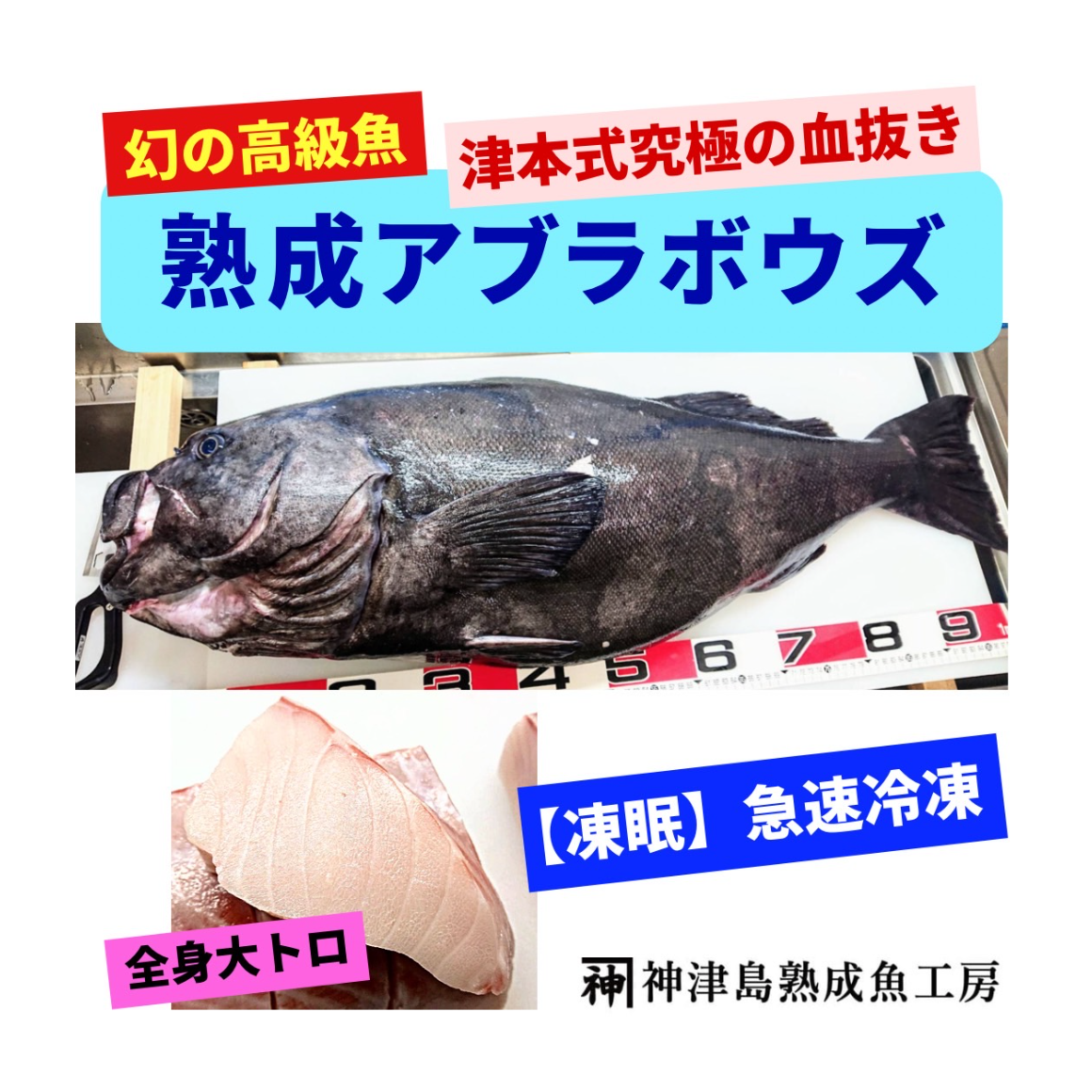 すべての出品者 :: 神津島 熟成魚工房