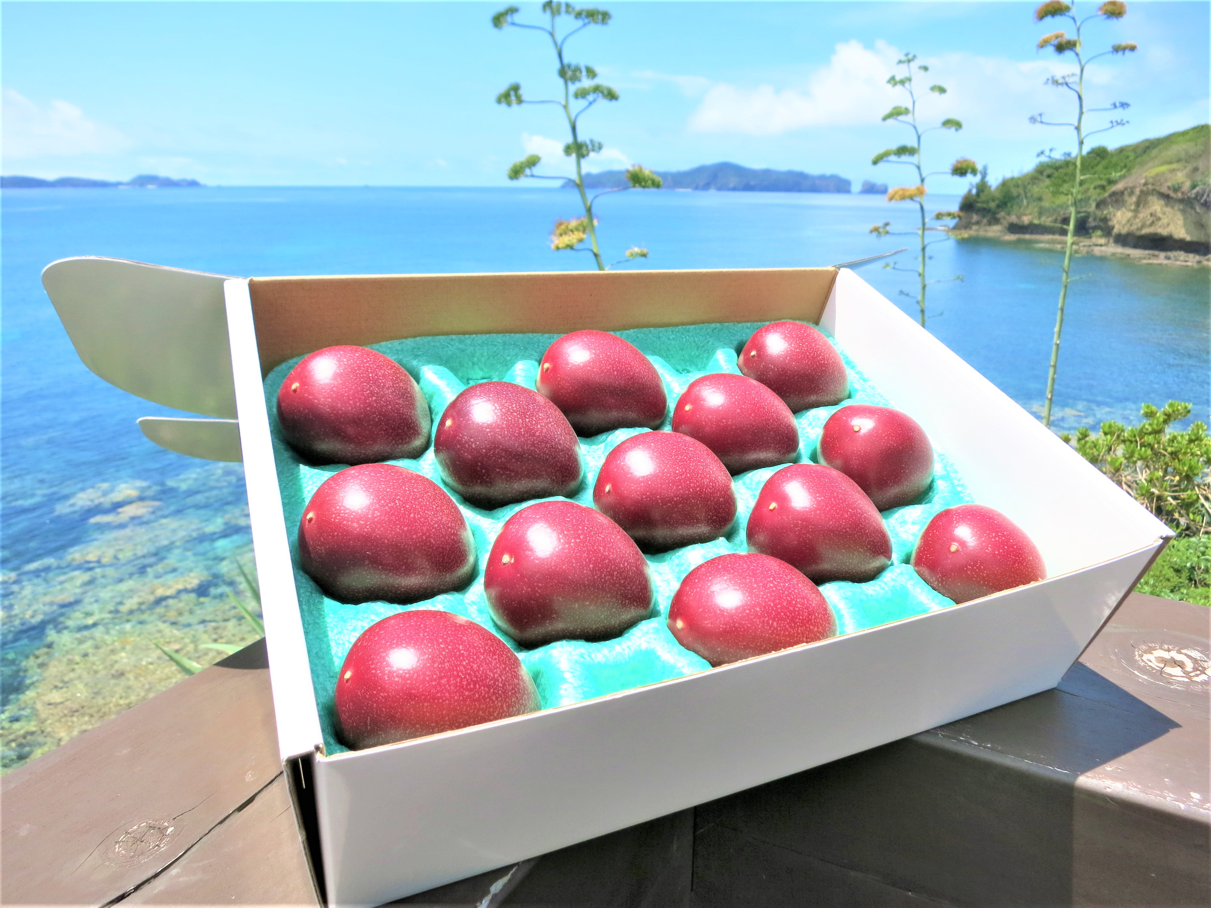 mama2013　パッションフルーツ 缶詰パッションフルーツ Passionfruit/Maracuja の通販 by
